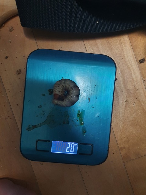 20220801_125034