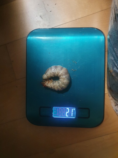 20221029_073042
